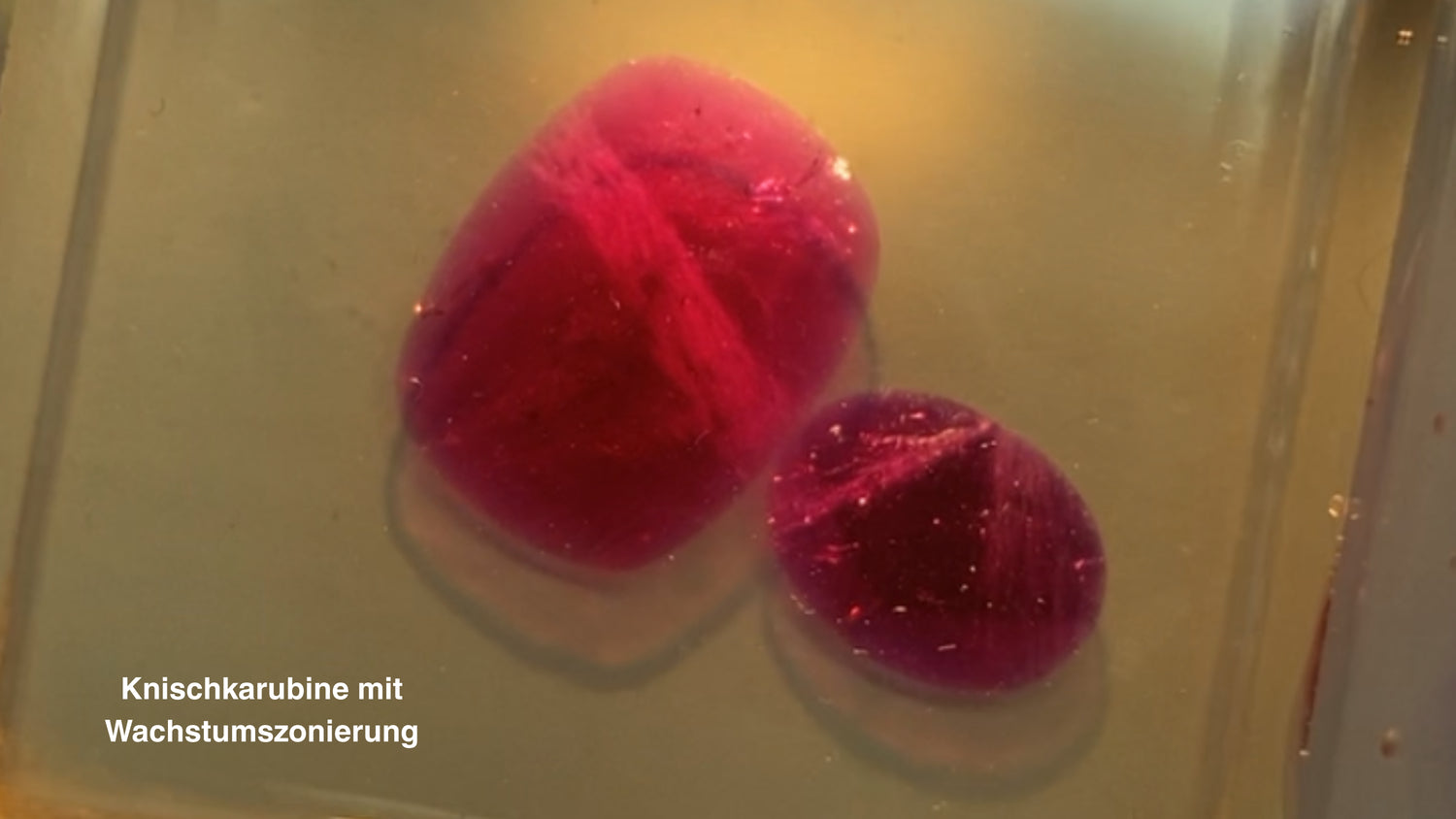 ÖGEMG GmbH